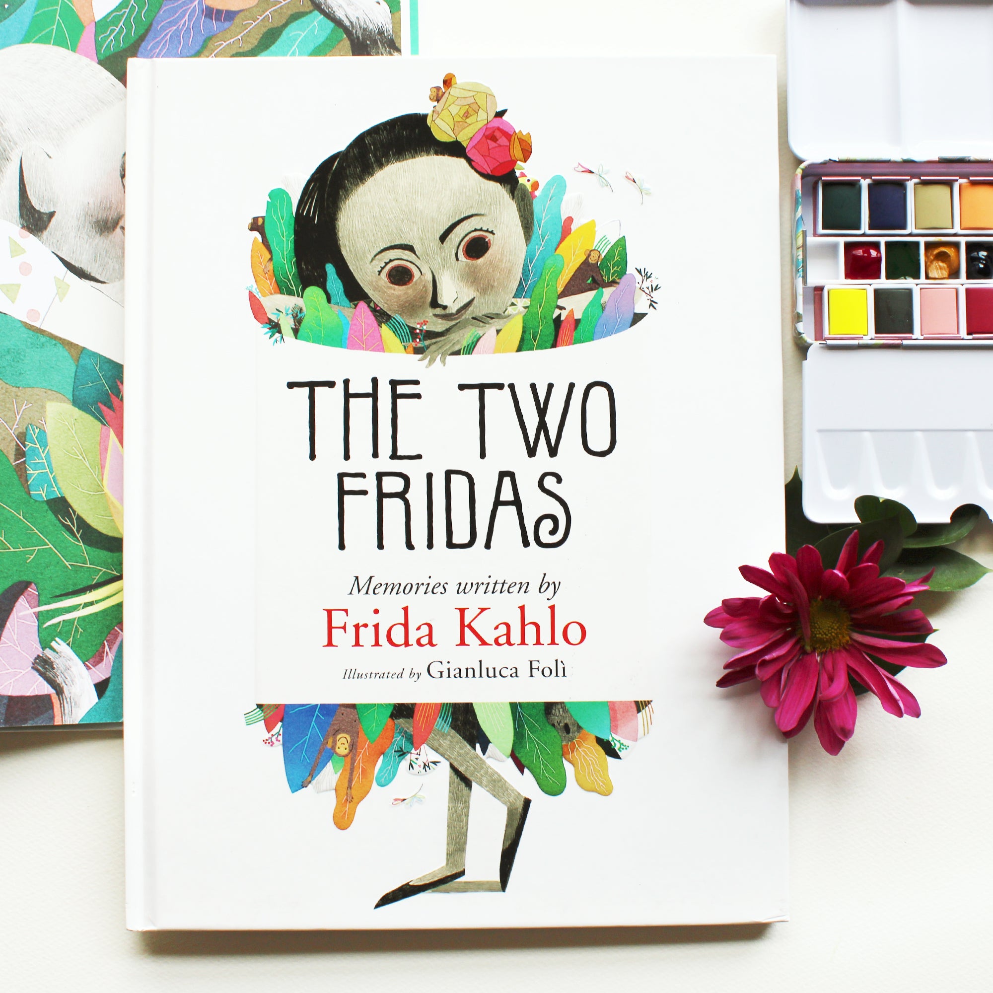 The World of Frida - IMAS